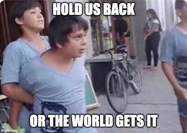 Meme image of two not very tough kids, one loosely holding the other one's arms behind their back, with the caption "Hold us back, or the world gets it".